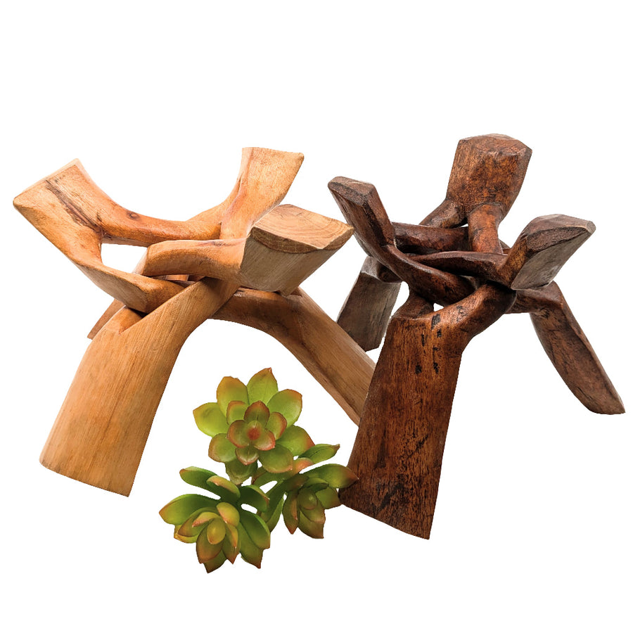 Wood tripod stand holding abalone shell and succulent display for home decor