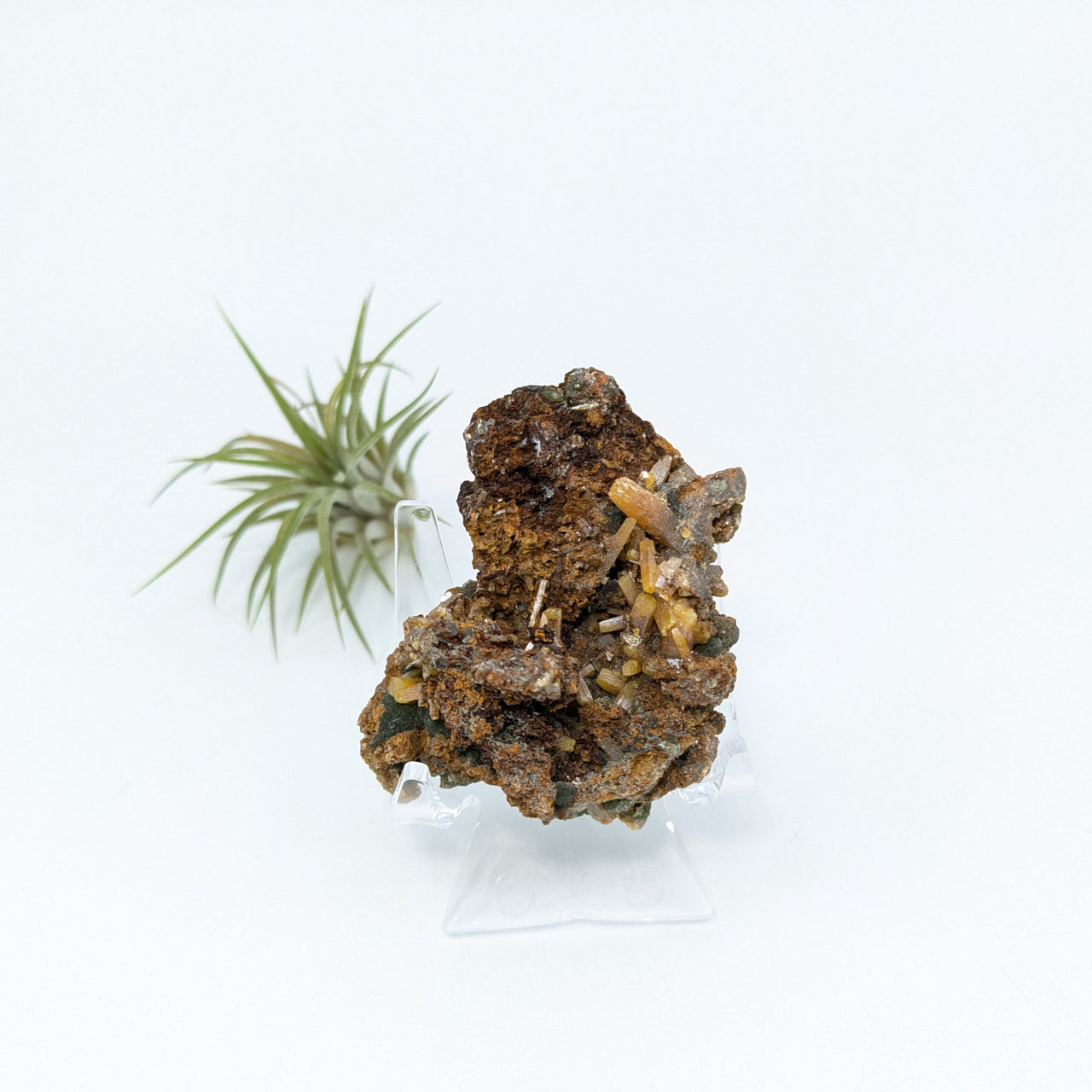 Wulfenite 2.1’’ Specimen #LV6820 - $25