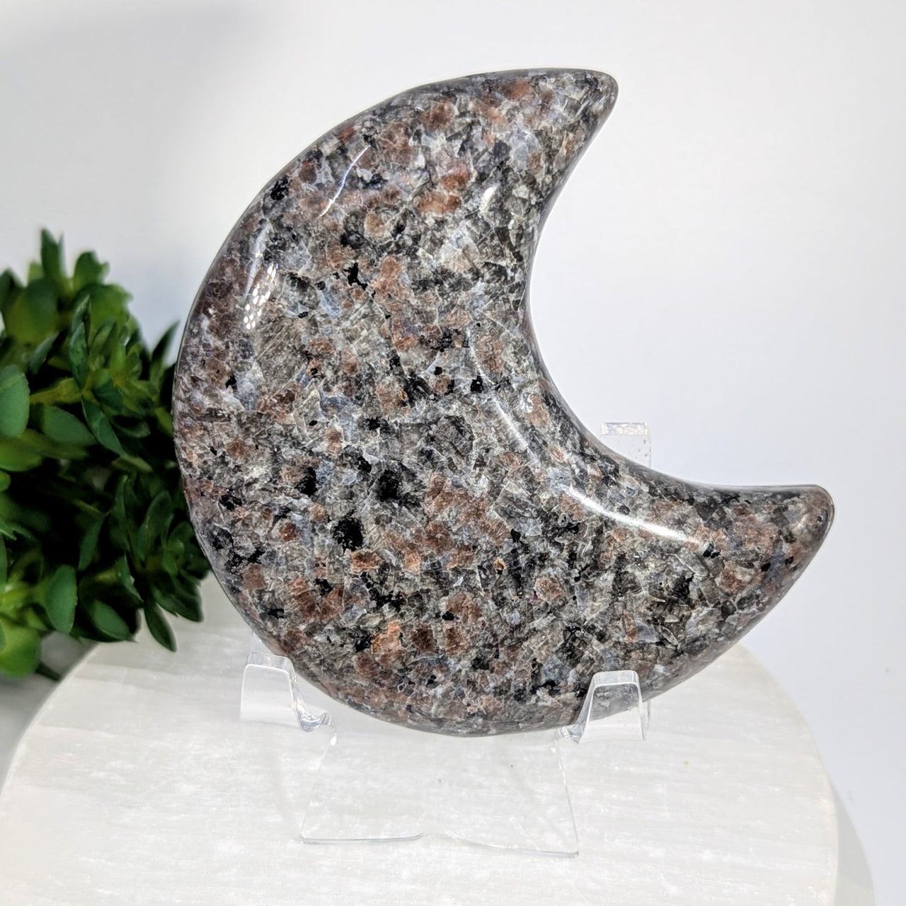 Polished 3.4-inch Yooperite Moon #BC0629 crescent stone with speckled gray, black, and reddish-brown hues