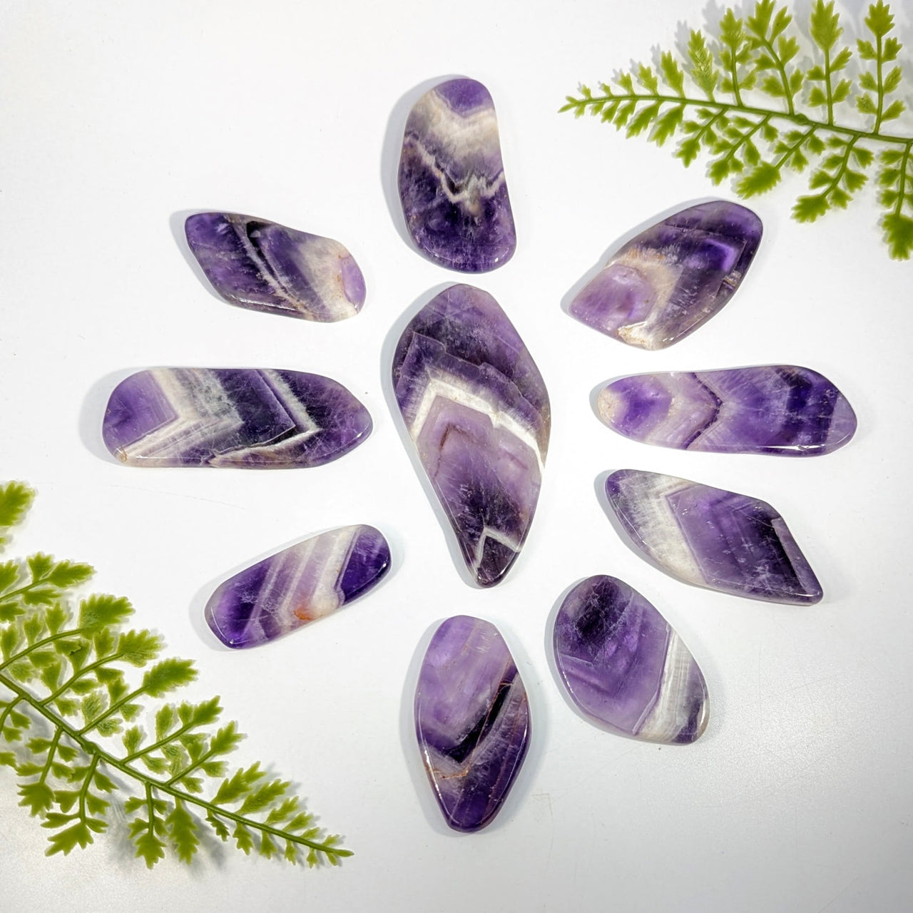 Purple and white striped Zametrine Amethyst 2.2-4.1in polished slice #BC1109