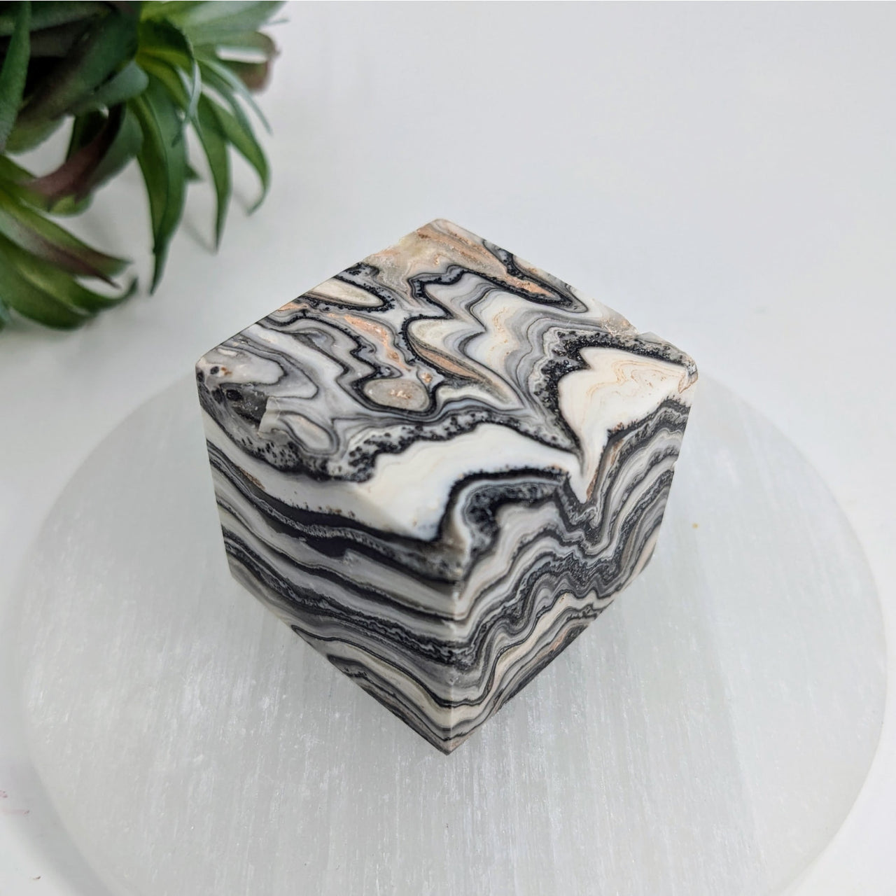 Marble-patterned zebra calcite 1.5’’ cube showcasing swirling black and white designs