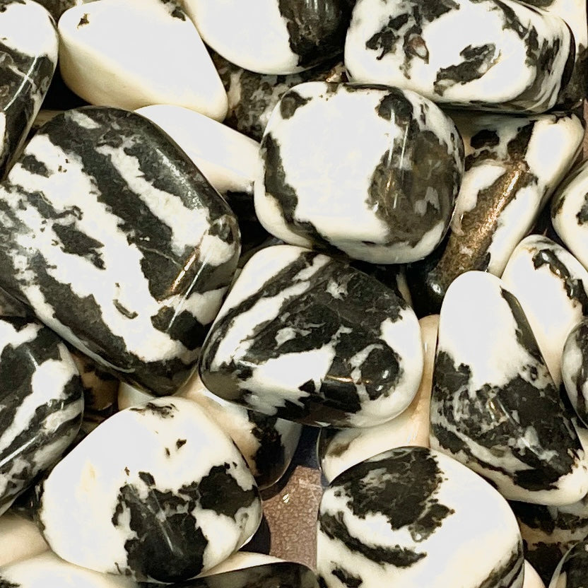 Polished Zebra Jasper Tumbled stones with striking black and white patterns