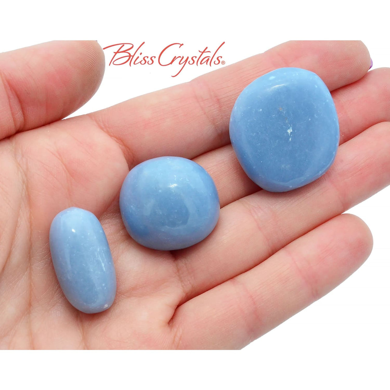 1 Angelite Tumbled Stone Healing Crystal and Stone for 