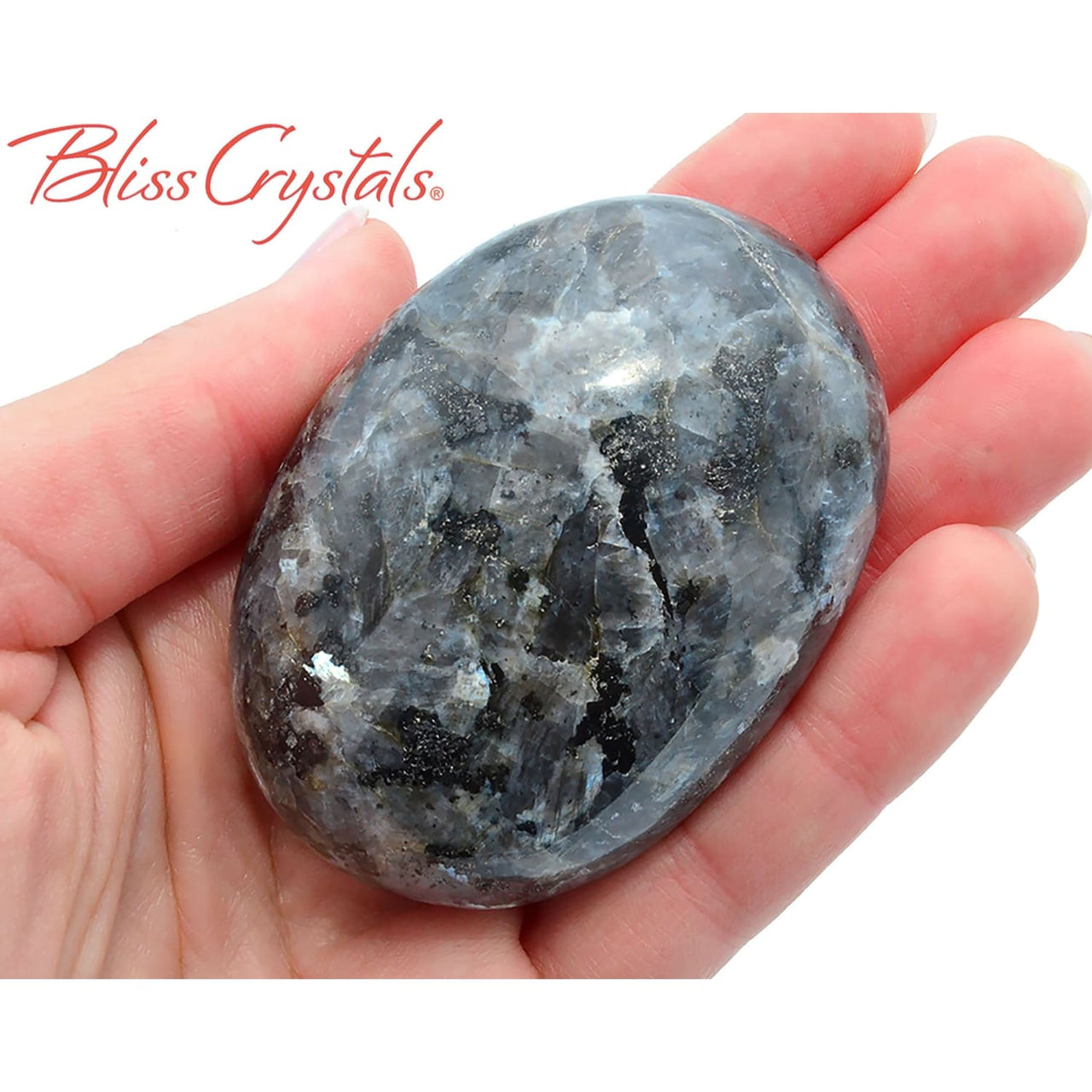 1 Blue Pearl MOONSTONE Palm Stone aka Larkavite Healing 