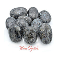 Thumbnail for 1 Blue Pearl MOONSTONE Palm Stone aka Larkavite Healing 