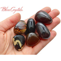 Thumbnail for 1 Brown + Blue AMBER Tumbled Stone Bio Crystal #BA23