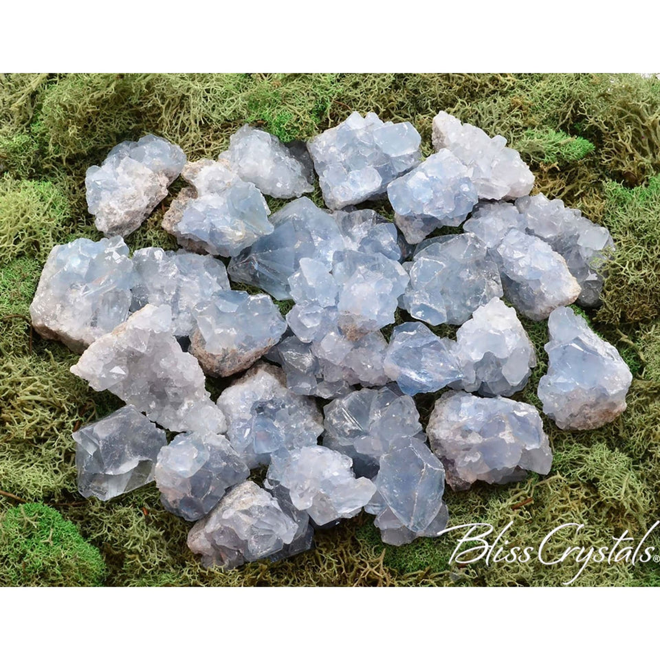 1 CELESTITE Mini Geode Rough Mineral Point - Bliss Crystals