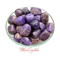 Thumbnail for 1 CHAROITE Tumbled Stone XL Grade A Quality Healing Crystal 