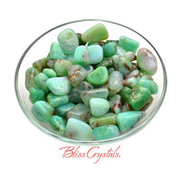 Thumbnail for 1 CHRYSOPRASE Medium Tumbled Stone Bright Green Crystal for 