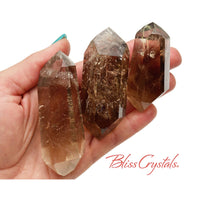 Thumbnail for 1 Large DT Smoky Quartz Point Polished Crystal #SW21
