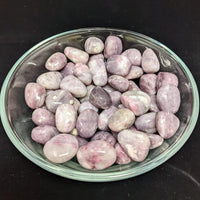 Thumbnail for 1 Pink Tourmaline In Quartz w/ Lepidolite Medium Size 