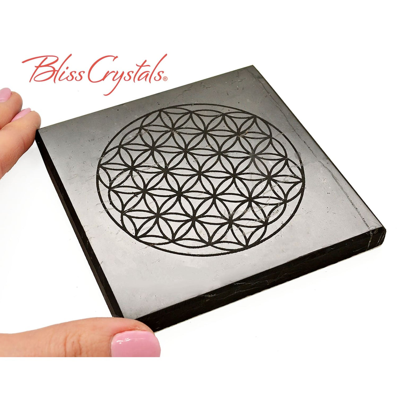 1 SHUNGITE Square Plate w/ Flower of Life etched Polished 