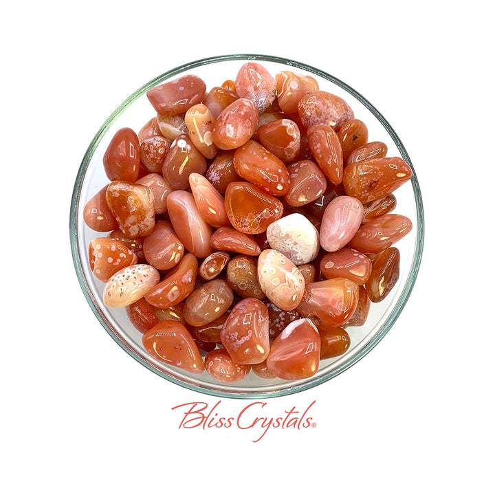 2-carnelian-botswana-agate-