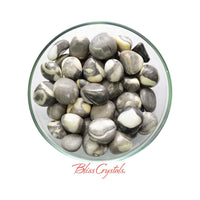 Thumbnail for 2 Large SHELL JASPER Tumbled Stones aka Shell Marble 