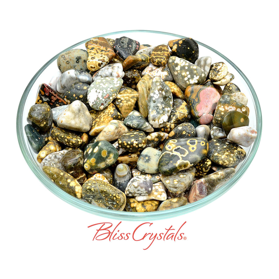 2 OCEAN JASPER Tumbled Stone aka Sea Stone Select Size 