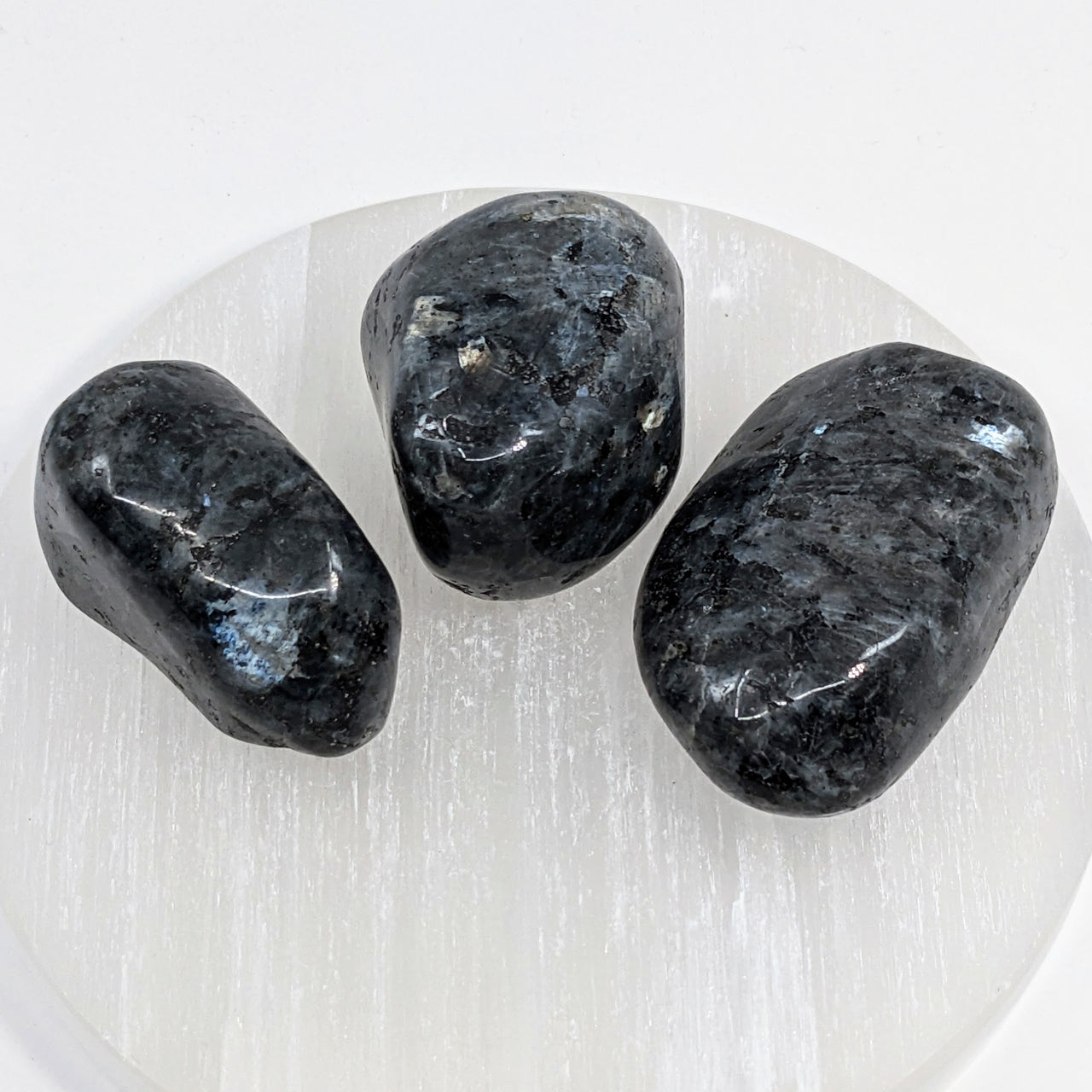 Merlinite Indigo Gabbro 1.6 -2" Polished Pebble #LV2921