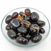 Thumbnail for Amber XL Tumbled Stone, Brown Blue Amber #SK8964