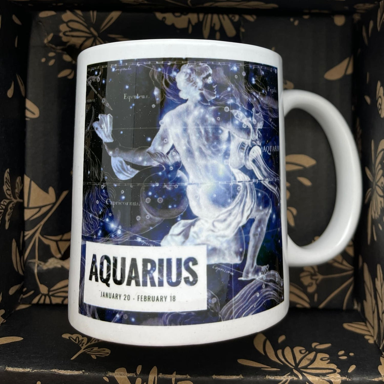 Aquarius Zodiac Mug Gift Boxed #C111 - $28