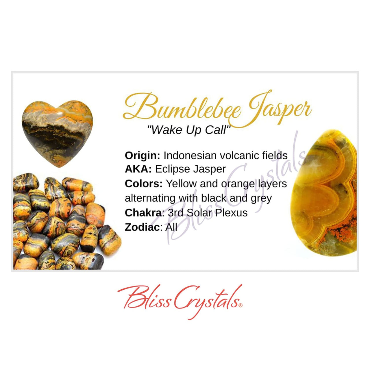 BUMBLEBEE JASPER Crystal Information Card Double sided #HC52