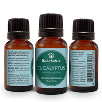 Eucalyptus Essential Oil Single Note by Best of Nature #BN13