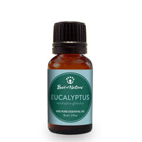 Eucalyptus Essential Oil Single Note by Best of Nature #BN13