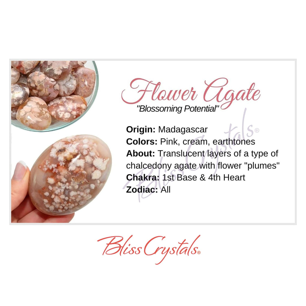 FLOWER AGATE Crystal Information Card Double sided #HC84