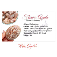 Thumbnail for FLOWER AGATE Crystal Information Card Double sided #HC84