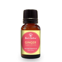 Thumbnail for Ginger Essential Oil Single Note by Best of Nature #BN16 