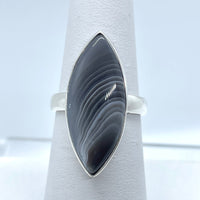 Thumbnail for Botswana Agate S.S Ring #J706