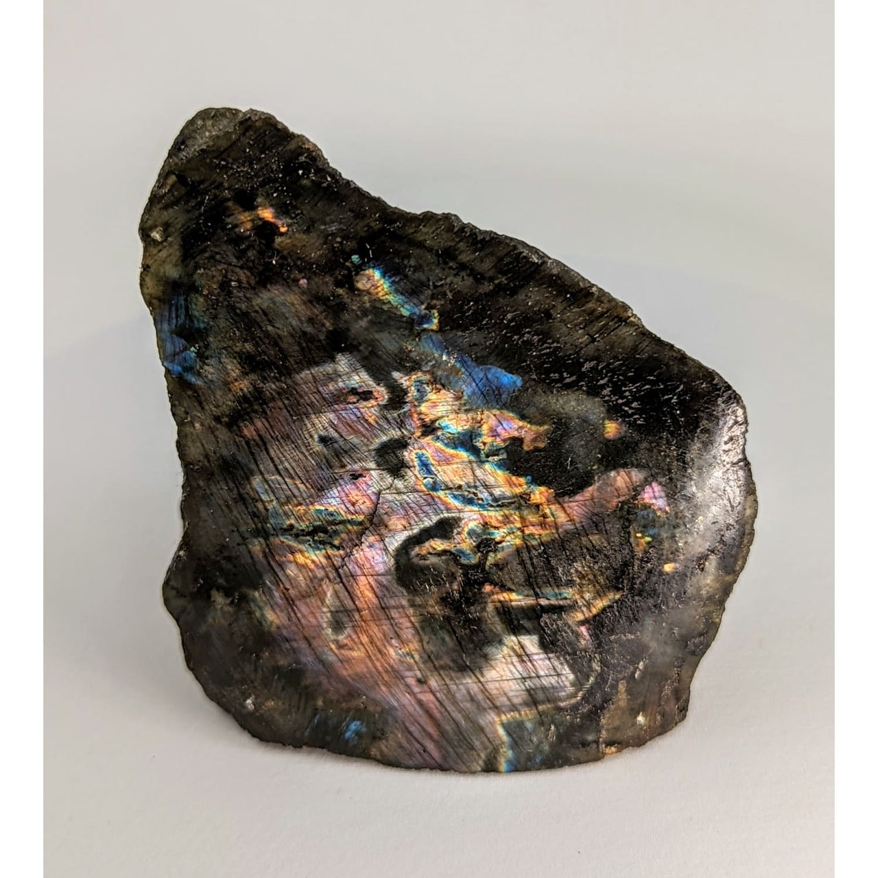 Labradorite Spectralite Half Polish (291g) #SK7647 - $34