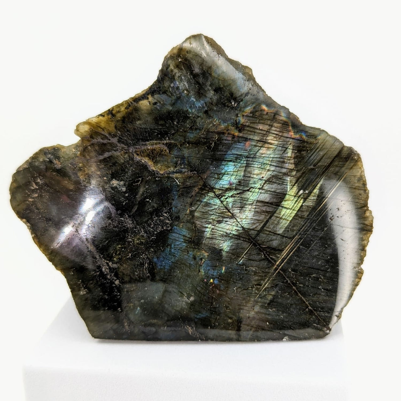 Labradorite Spectralite Half Polish (363g) #SK7658 - $39
