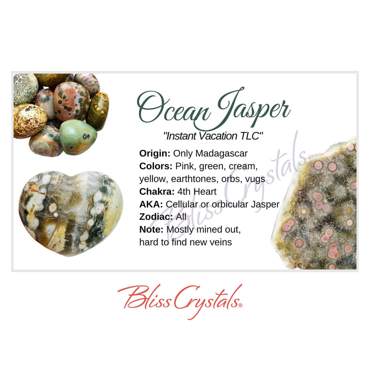 OCEAN JASPER Crystal Information Card Double sided #HC102