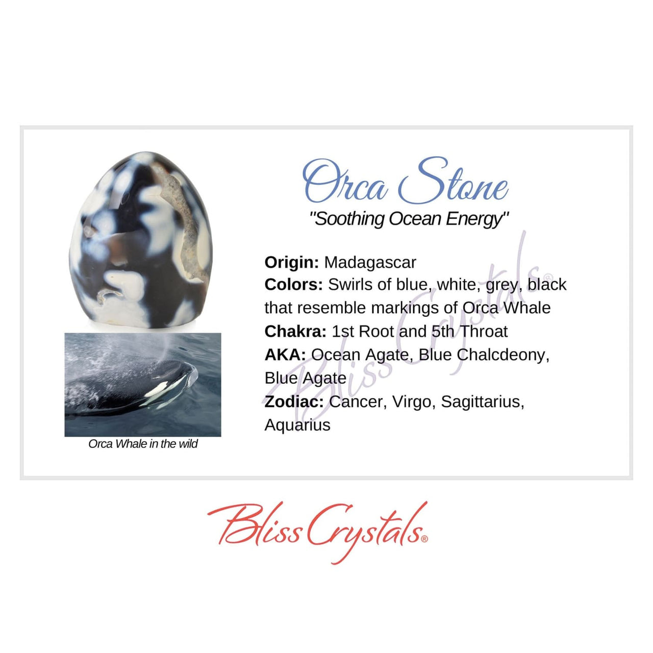 ORCA STONE Crystal Information Card Double sided #HC141