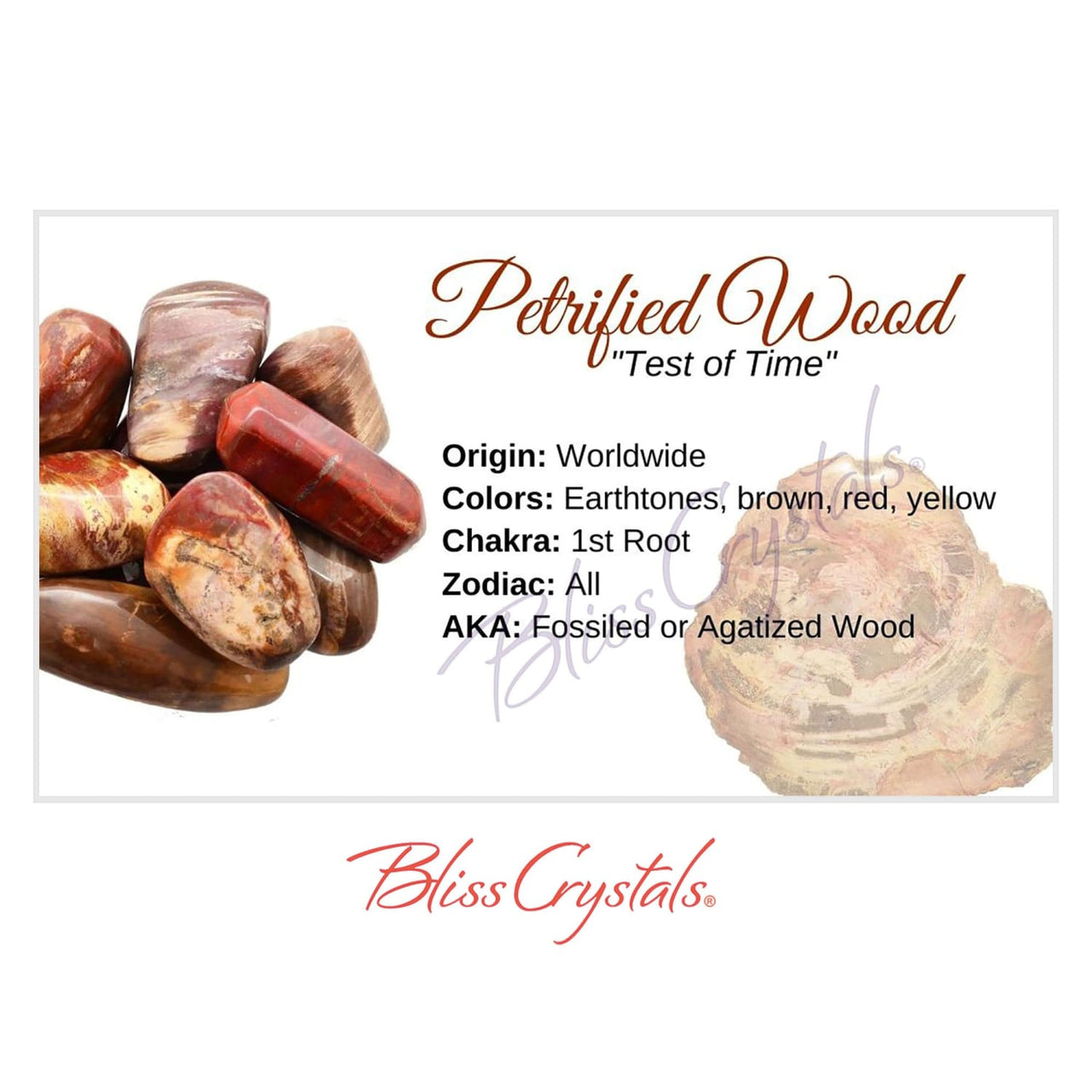 PETRIFIED WOOD Crystal Information Card Double sided #HC120