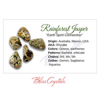 Thumbnail for RAINFOREST JASPER Crystal Information Card Double sided 