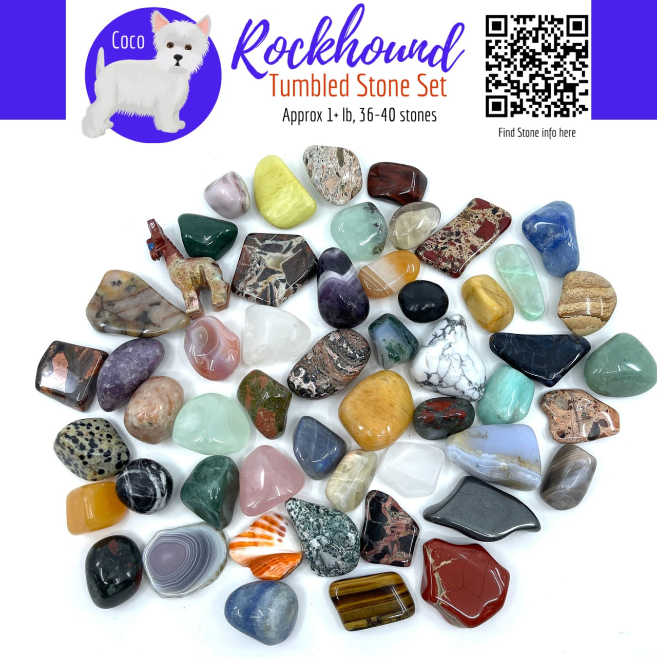 Rockhound Mixed Tumbled Stone Set #RH01 - $33