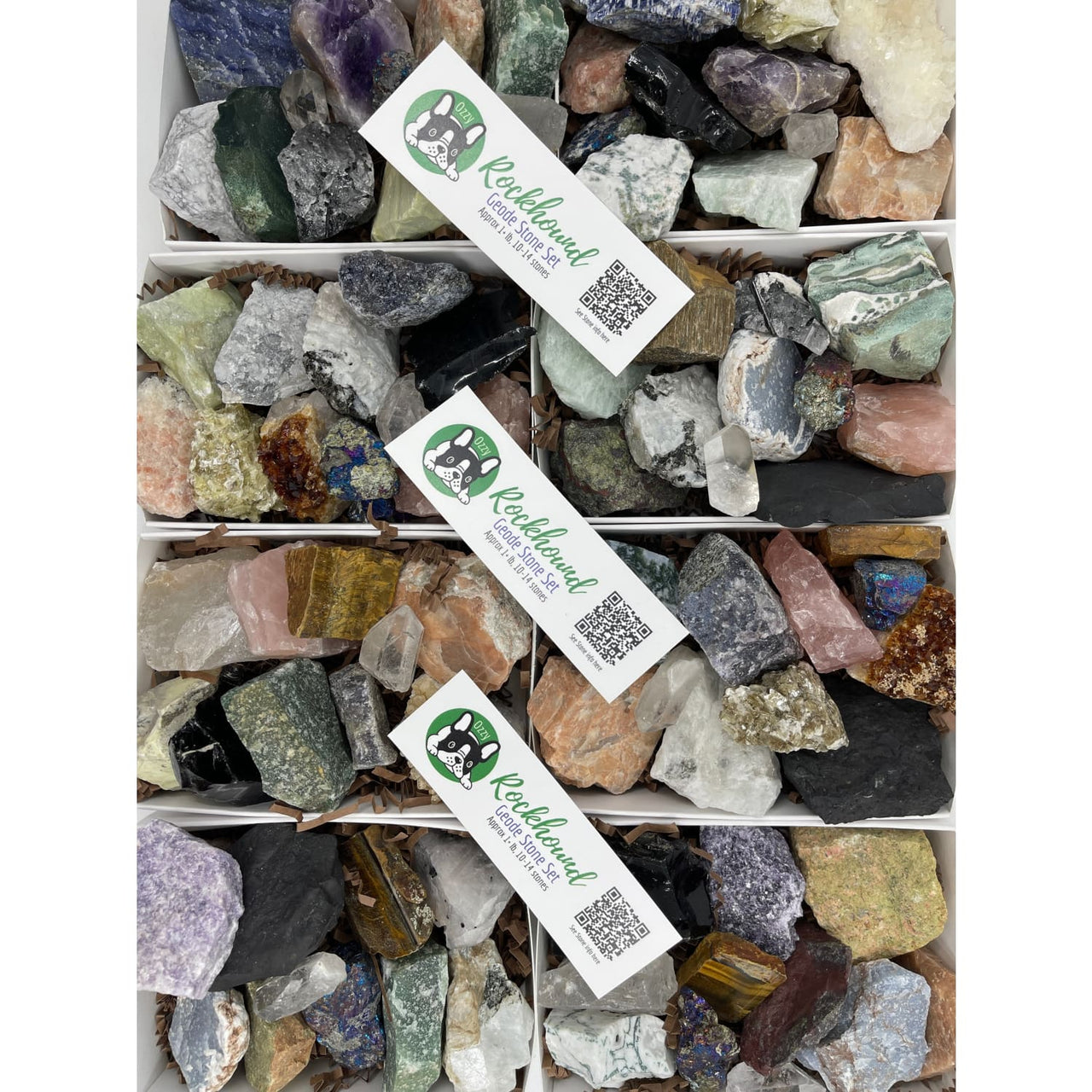 Rockhound Rough Geode Stone Set 10-14 Assorted Crystals 