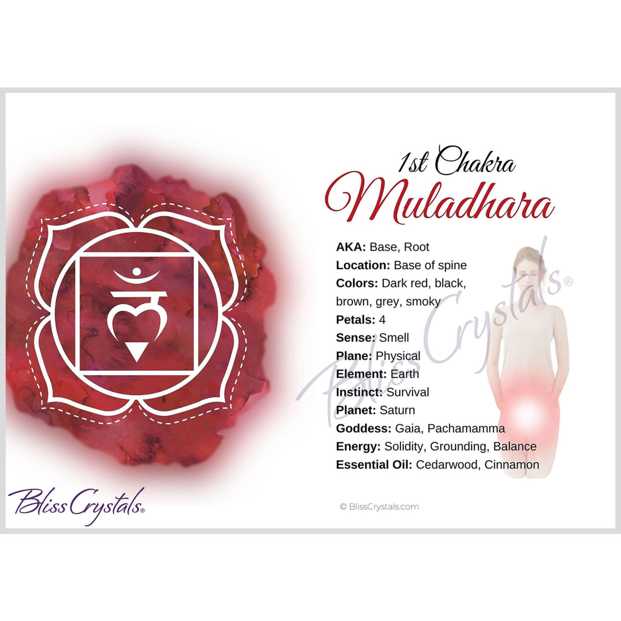 Root 1st Chakra Muladhara Information Card Double sided 