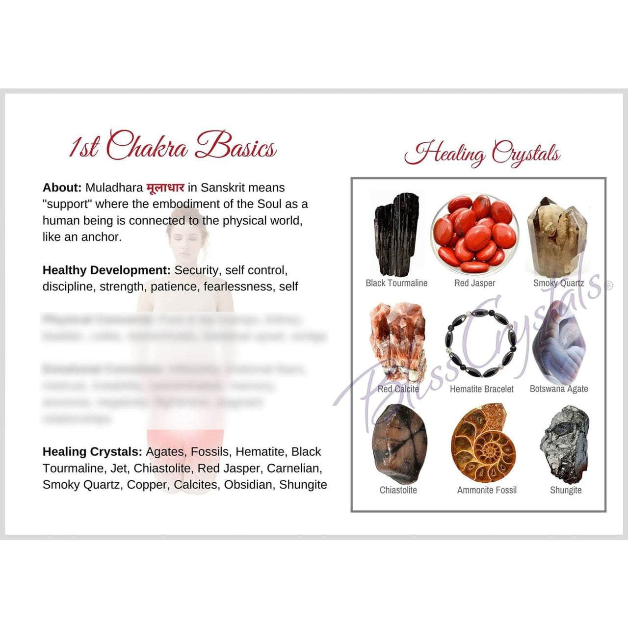 Root 1st Chakra Muladhara Information Card Double sided 