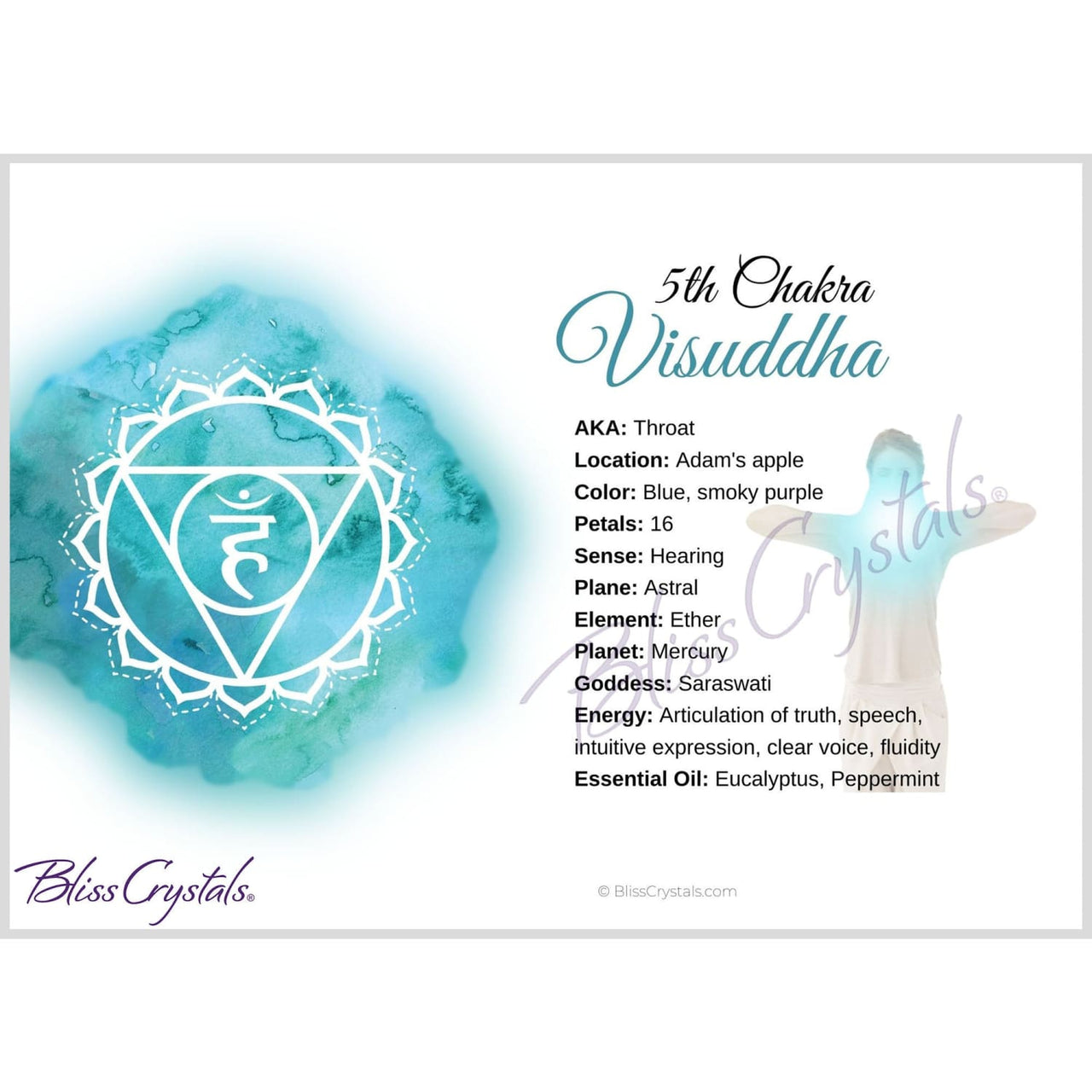 Throat 5th Chakra Visuddha Information Card Double sided 