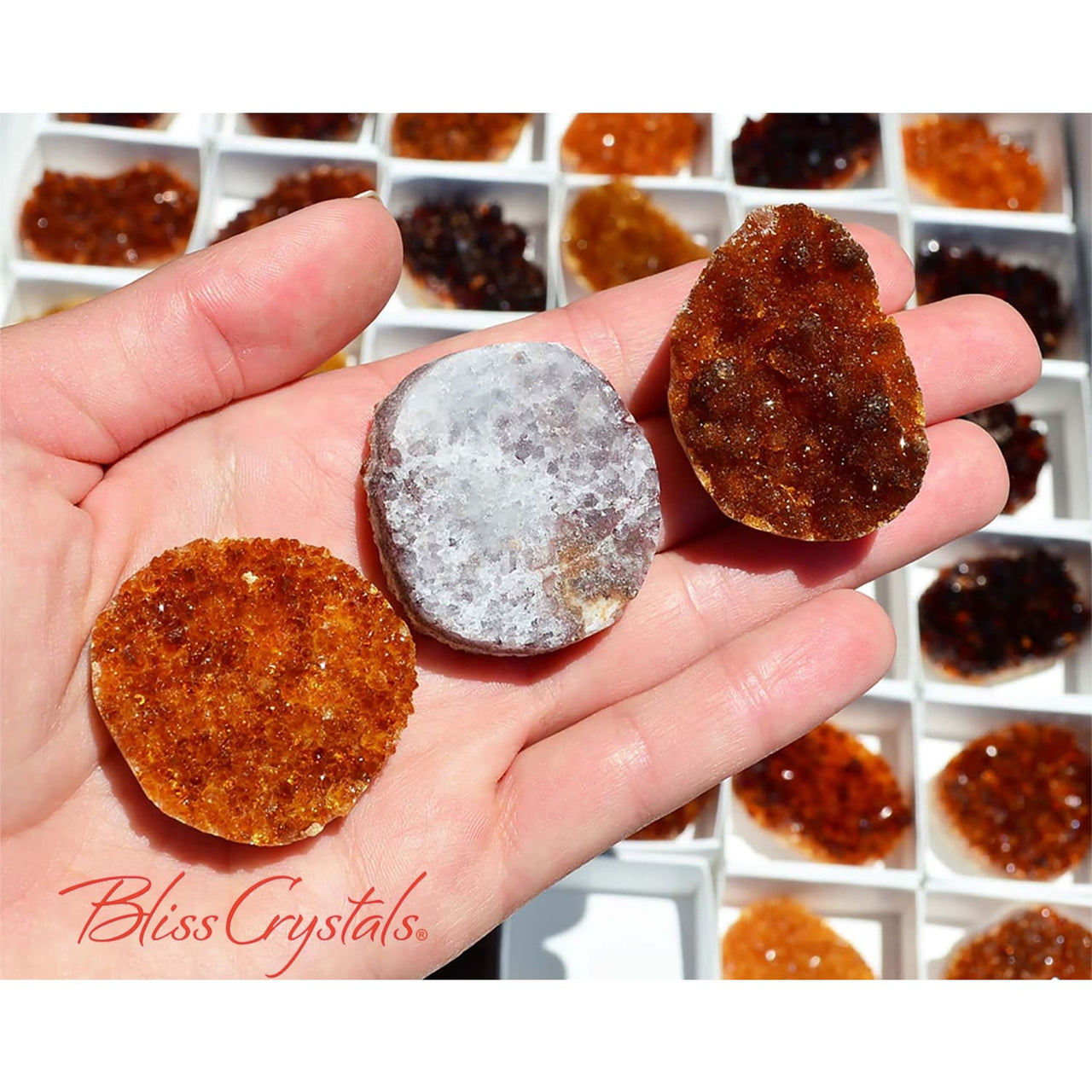 Wholesale! 4 CITRINE Cut Geode Cabochons Jewelry Maker Rough