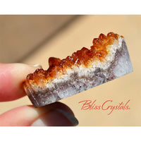 Thumbnail for Wholesale! 4 CITRINE Cut Geode Cabochons Jewelry Maker Rough